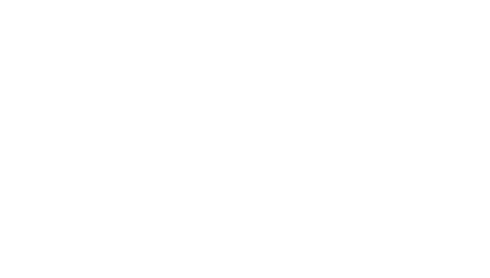 Transform A Street Dog
