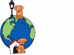 TransformAstreetDogs Logo