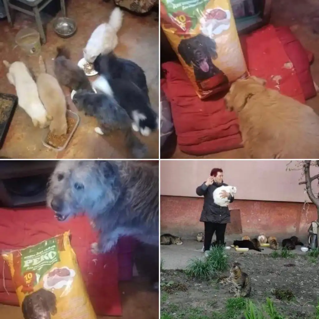 Help_for_animals_in_Chernihiv_ and_Zaporizhzhya_img_11