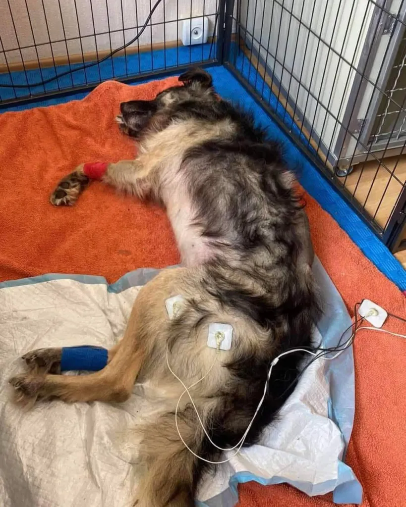 August-05-2022_news_img_1