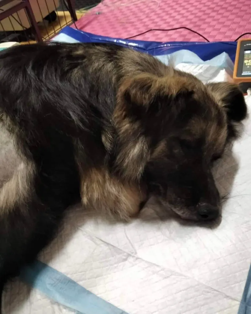 August-05-2022_news_img_2webp