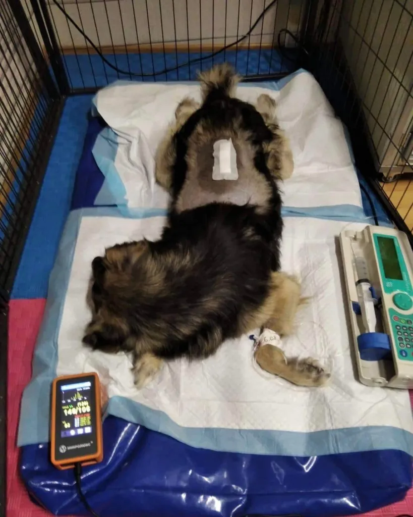 August-05-2022_news_img_3