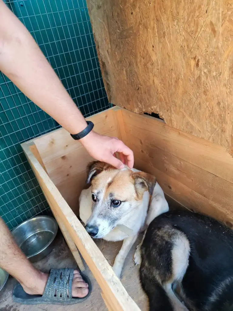 October-02-2022_news_img_2