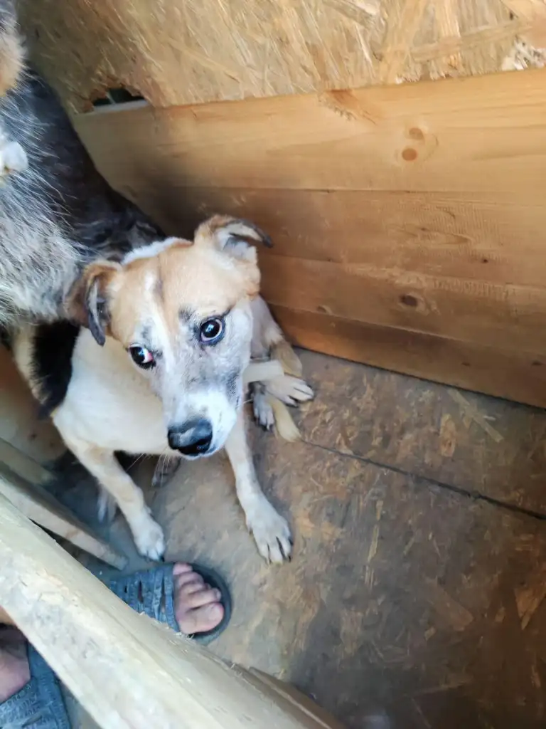 October-02-2022_news_img_3