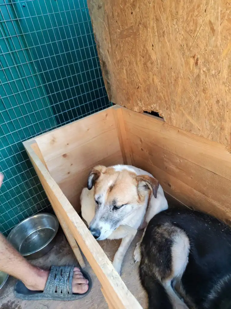 October-02-2022_news_img_4