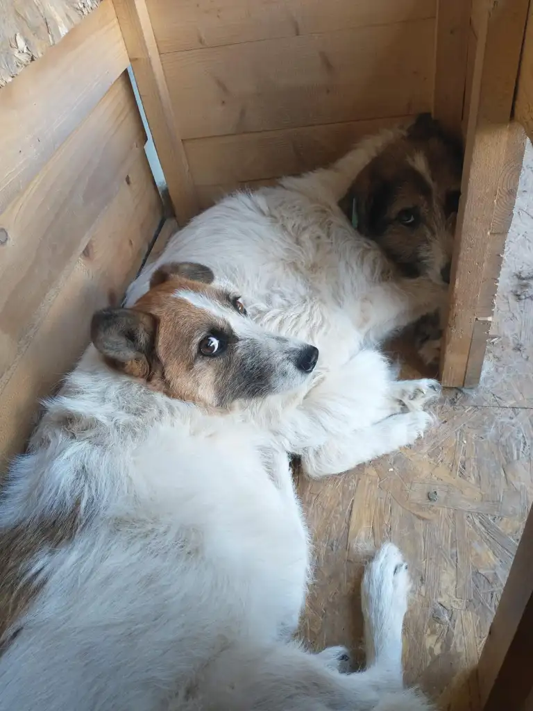 September-26-2022_news_img_1