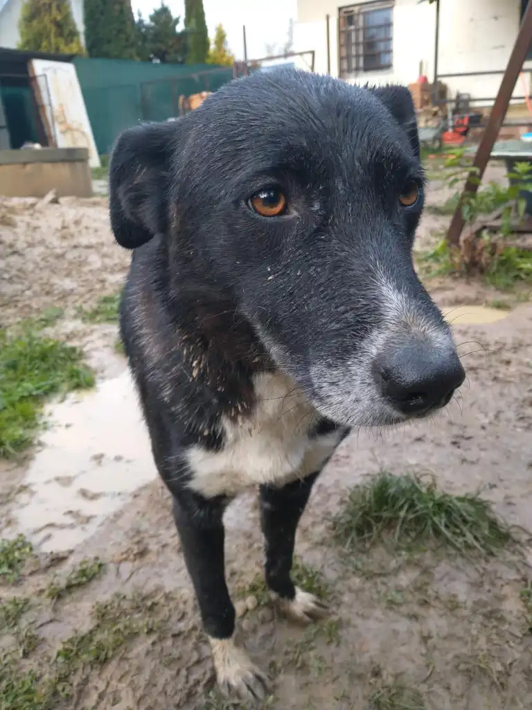 September-26-2022_news_img_2