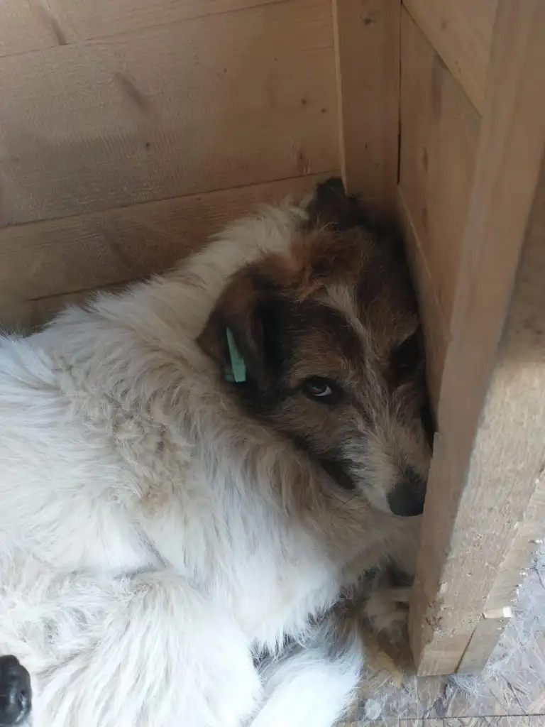 September-26-2022_news_img_3