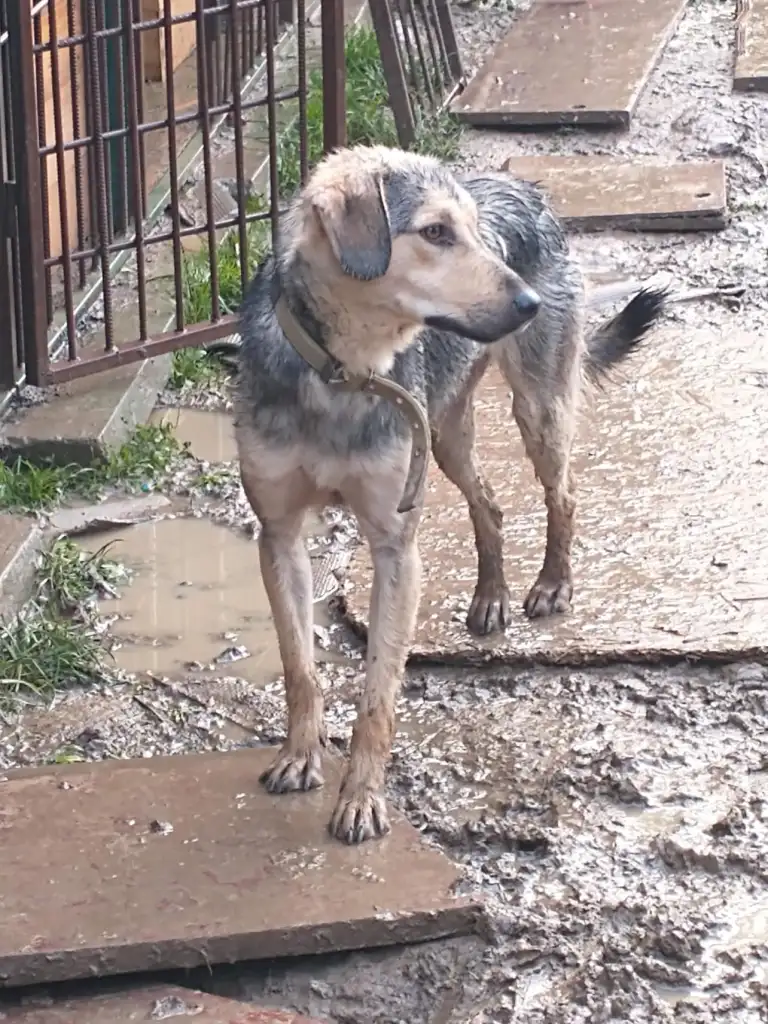 September-26-2022_news_img_5