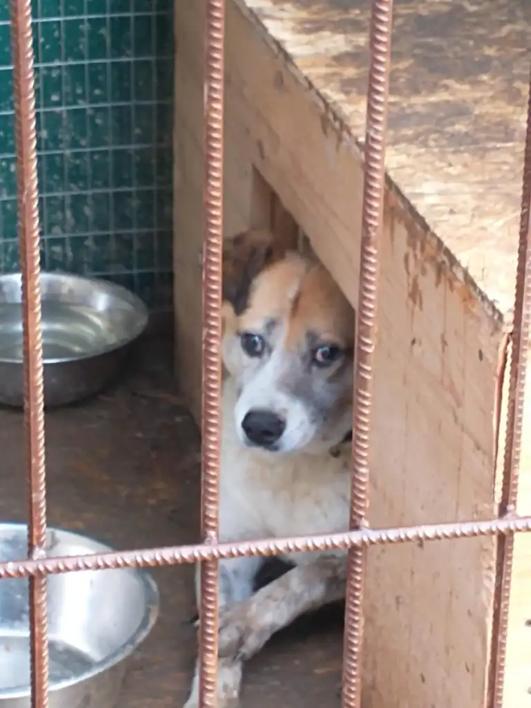 September-26-2022_news_img_6