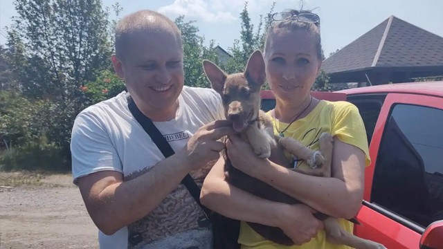 One of the beautiful puppies abandoned near the village finally found her loving family