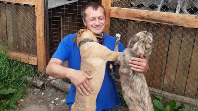 Let me tell you a little about our kennel in Zhytomyr