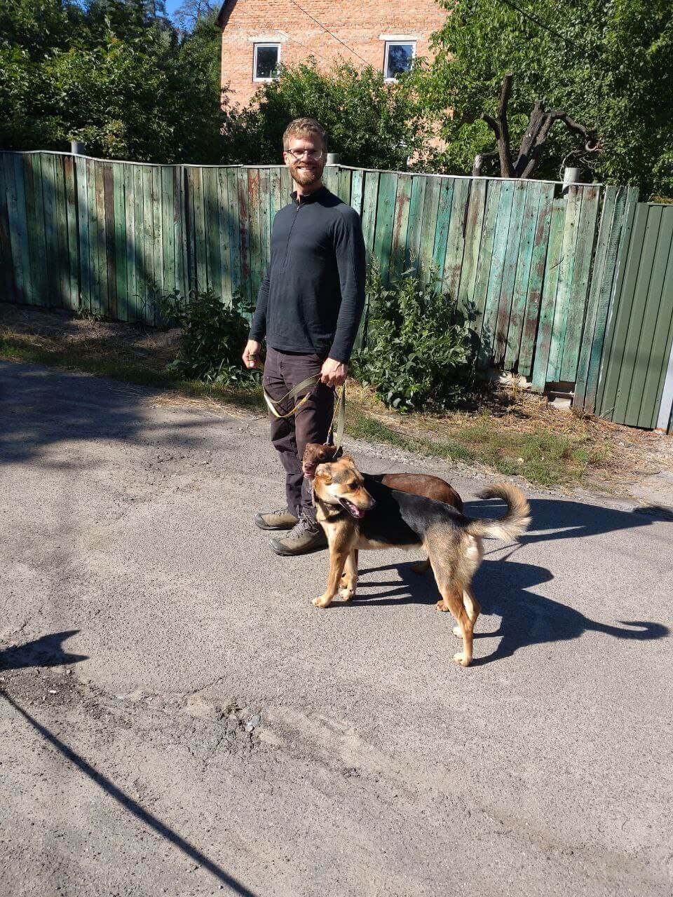 Krasava is one of the many Ukrainian dogs we have helped