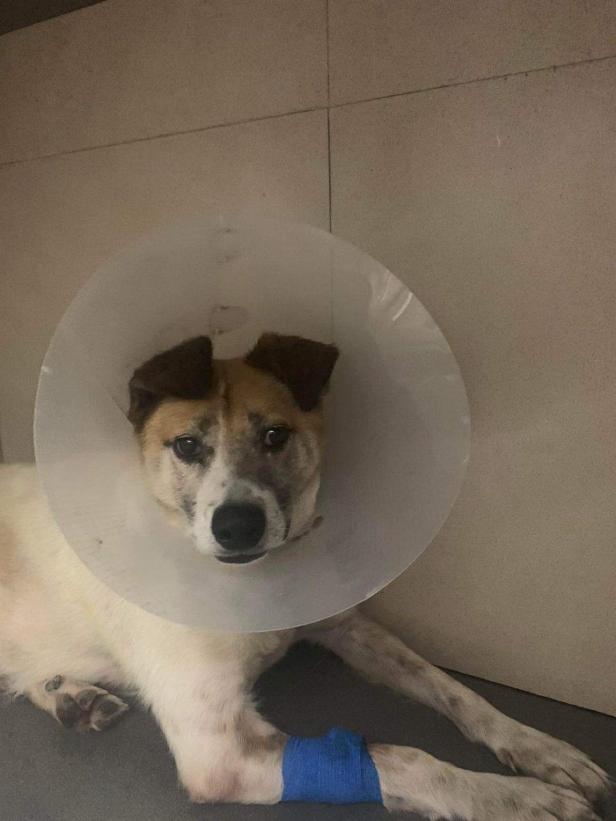 November-01-2022_news_img_1