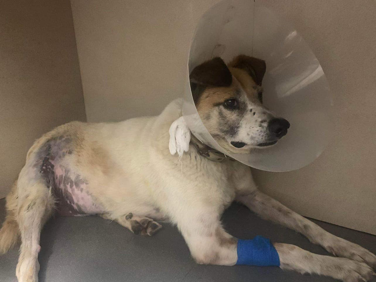 November-01-2022_news_img_2