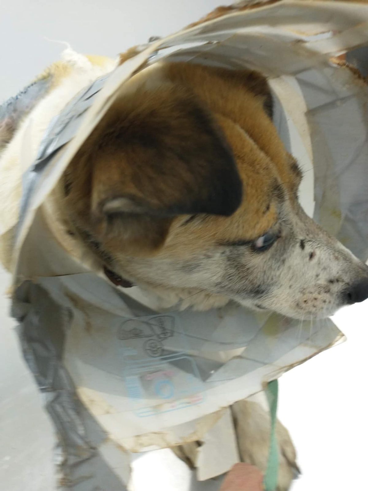 November-01-2022_news_img_3