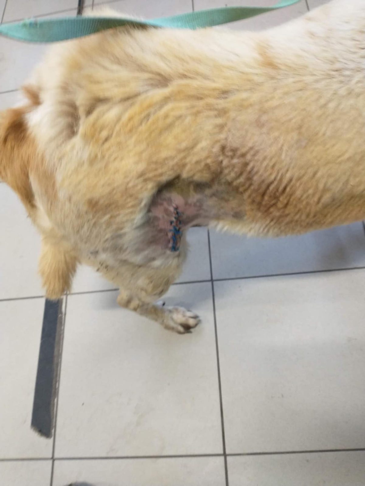 November-01-2022_news_img_4