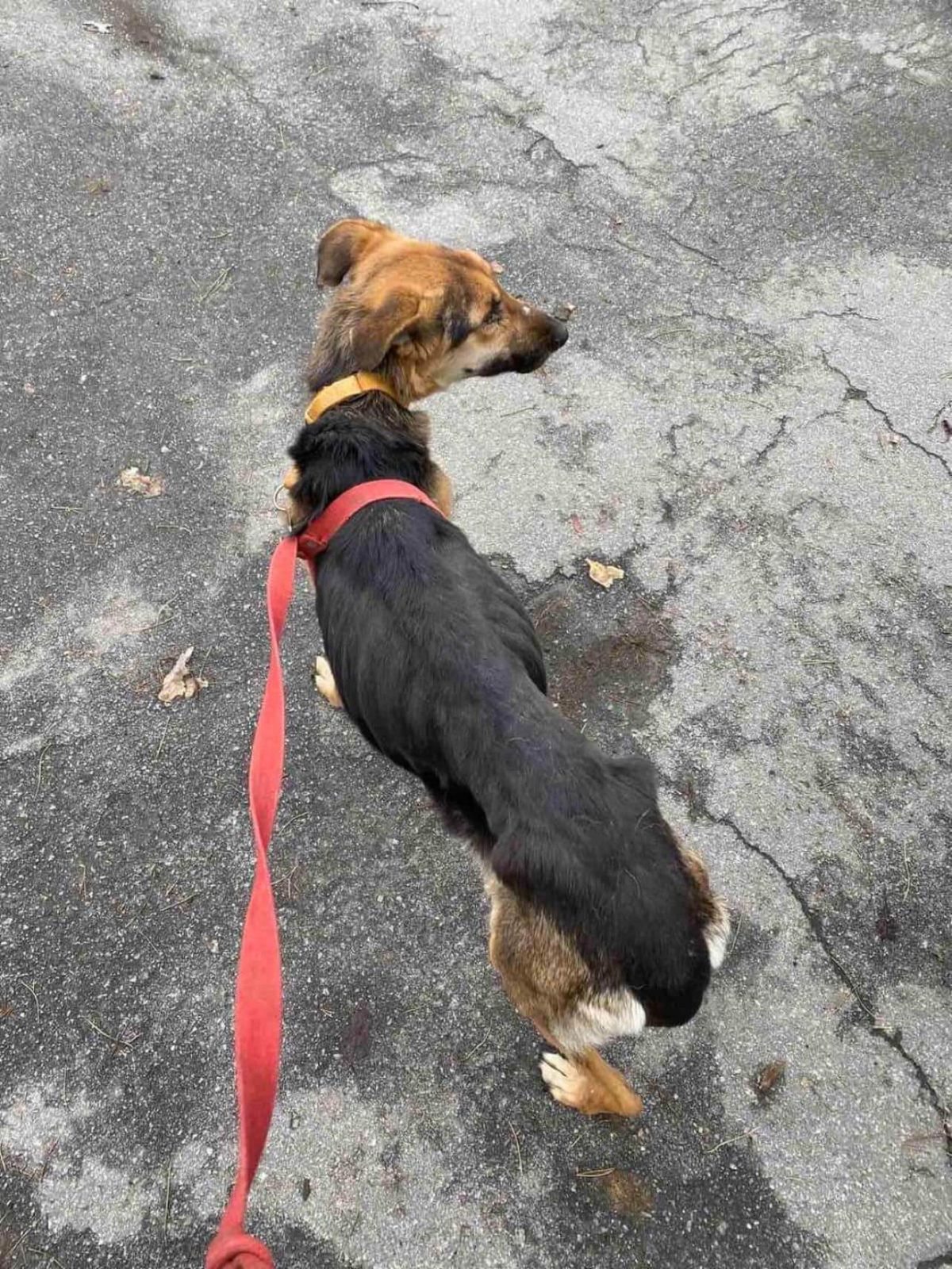 Dec-14-2022_news_1_img_4