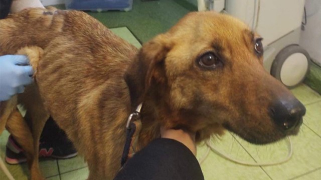 This is Eva and she needs your help.