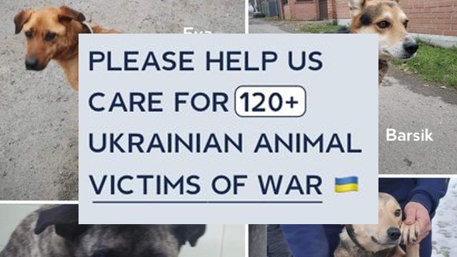We cannot do without your help. Honestly, we are in big trouble ...