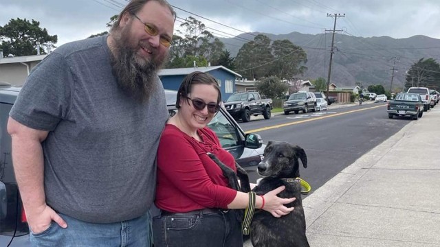 Transform a Street Dog: Davey's Journey to San Francisco