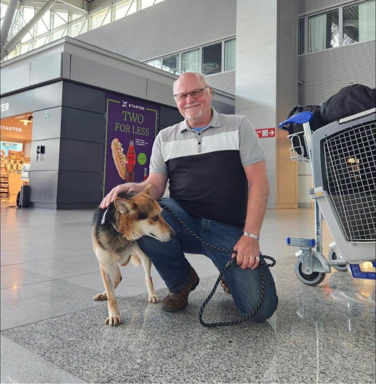 Flight Volunteers Needed to Help Dogs in the USA!