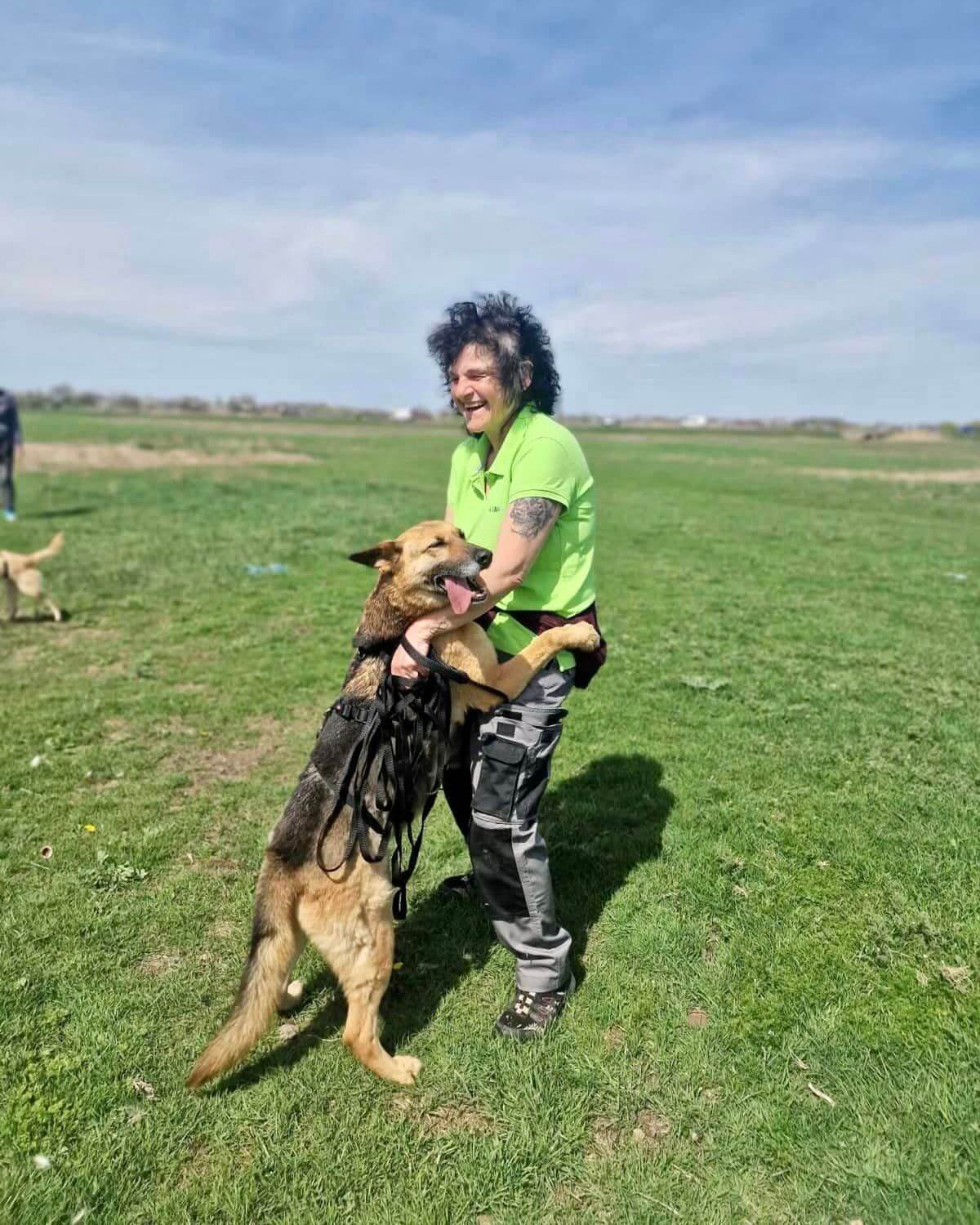 Resilient Lura: From Shelter Life to a Loving Family Search