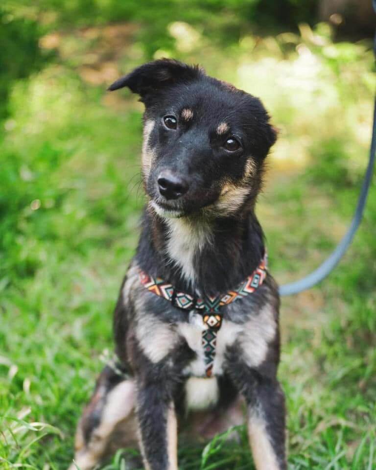 november-09-2023_news-img-1