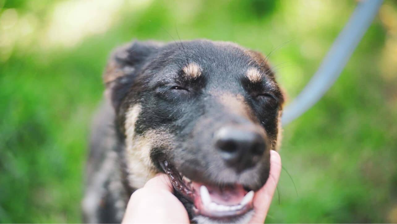 november-09-2023_news-img-2