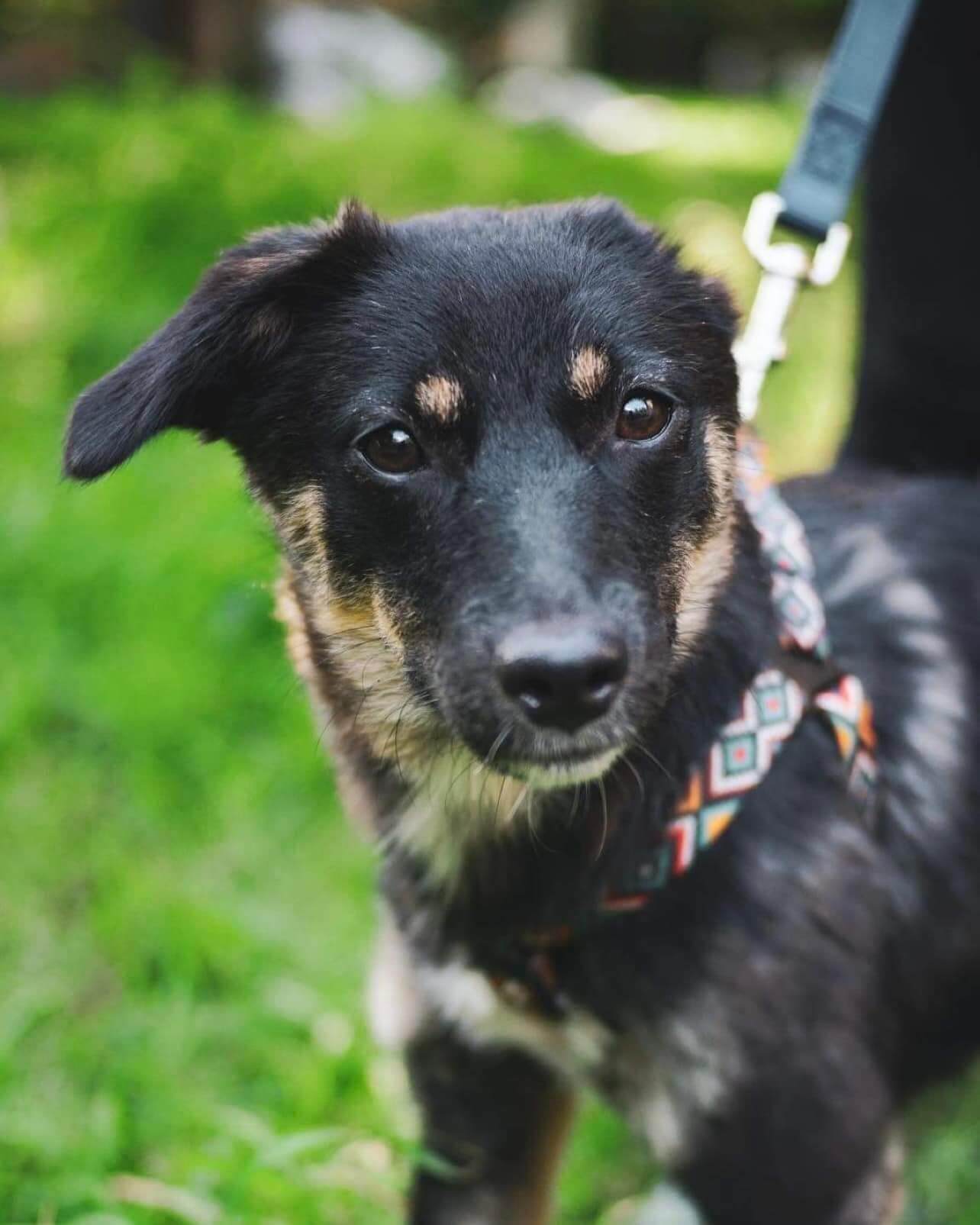 november-09-2023_news-img-4