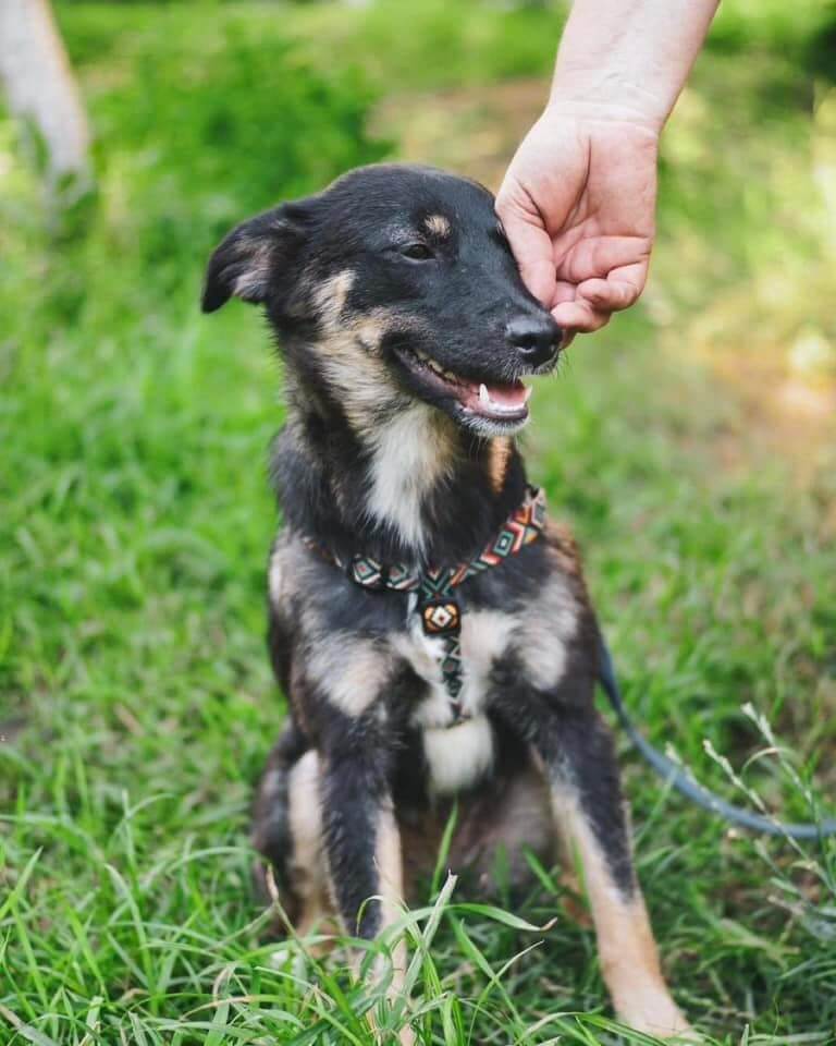 november-09-2023_news-img-5