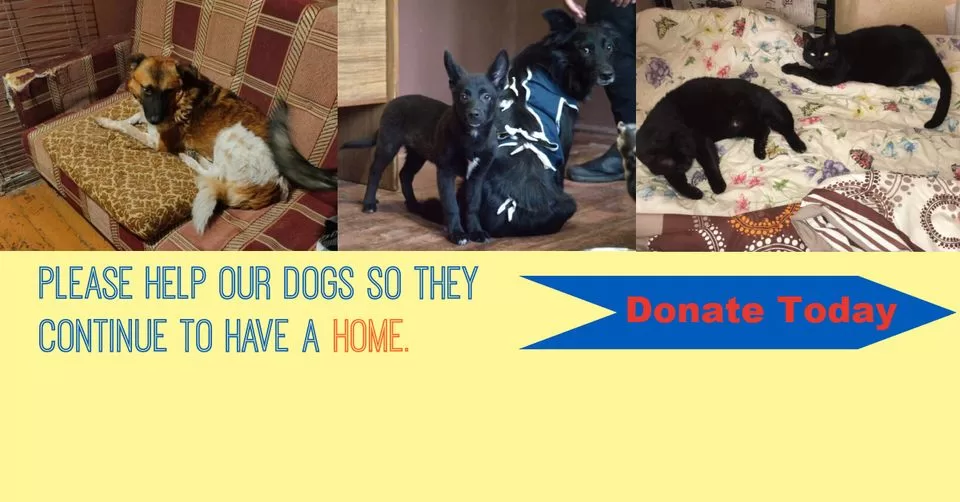 Kyiv Shelter Emergency: Help Secure New Home! 🚨