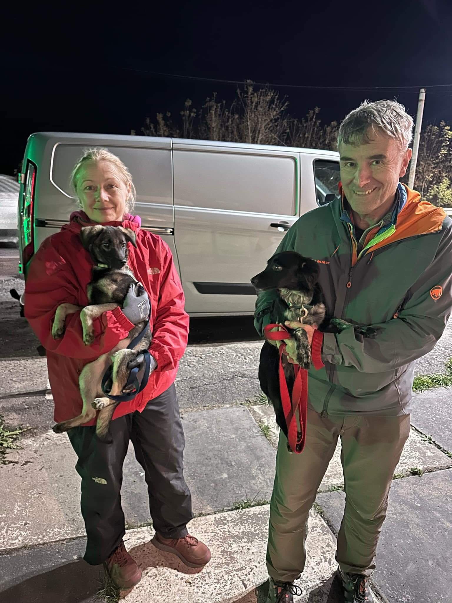 Six Dogs Begin Their Journey to Forever Homes in Germany!