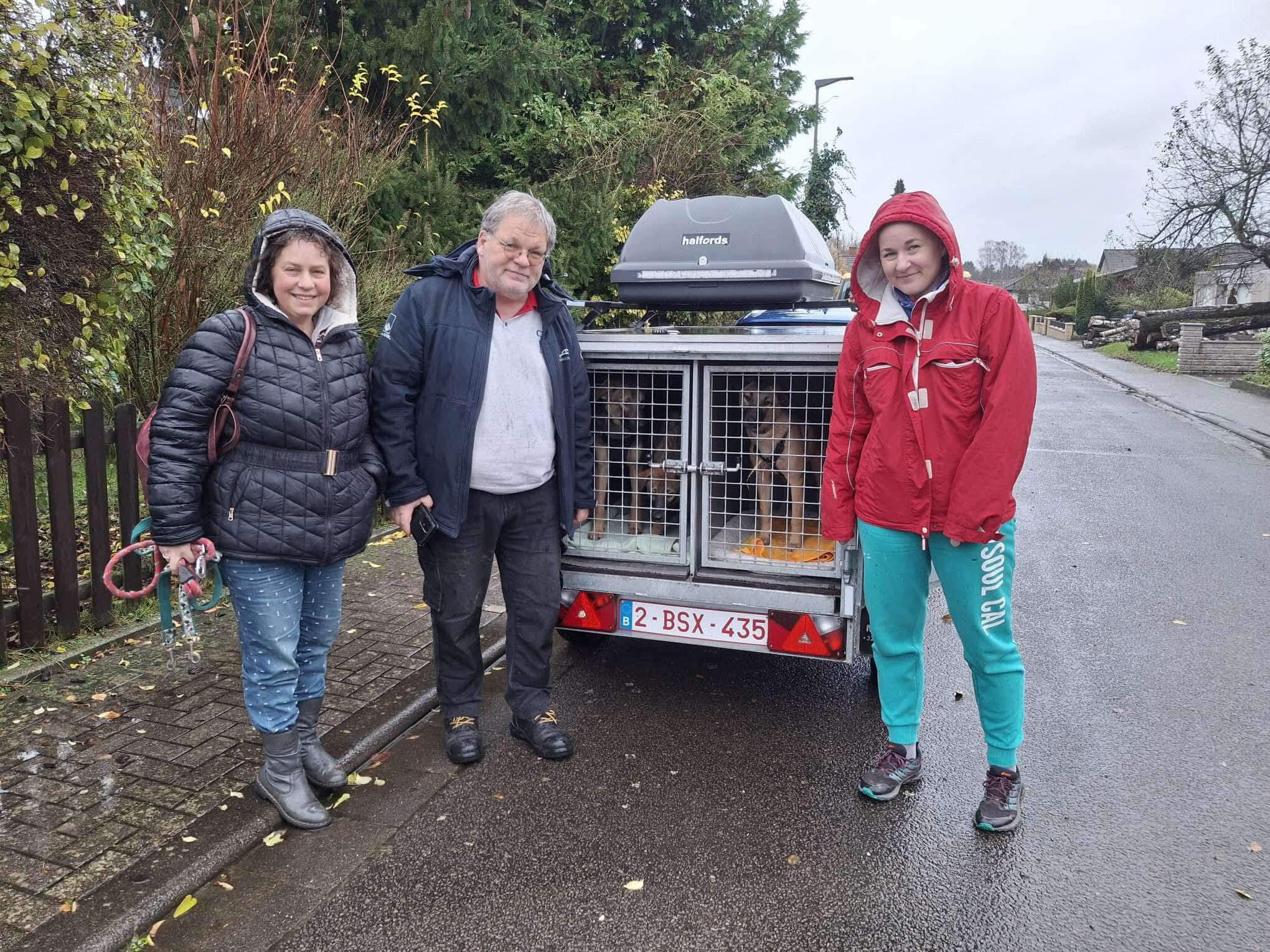 A Heartwarming Journey: Lviv Puppies Find Forever Homes