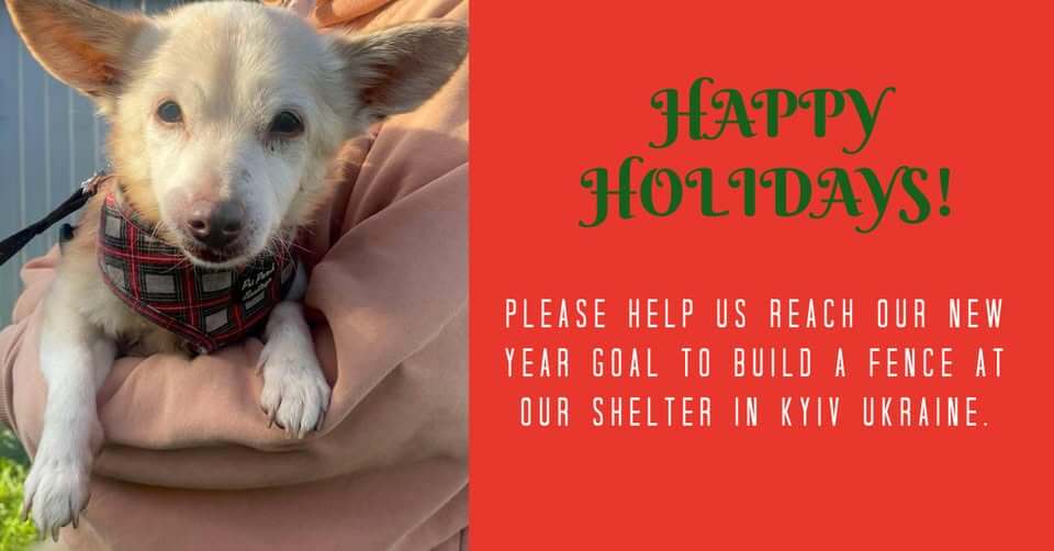 Help Us Build a Safe Fence and Keep Shelter Dogs Warm This Winter