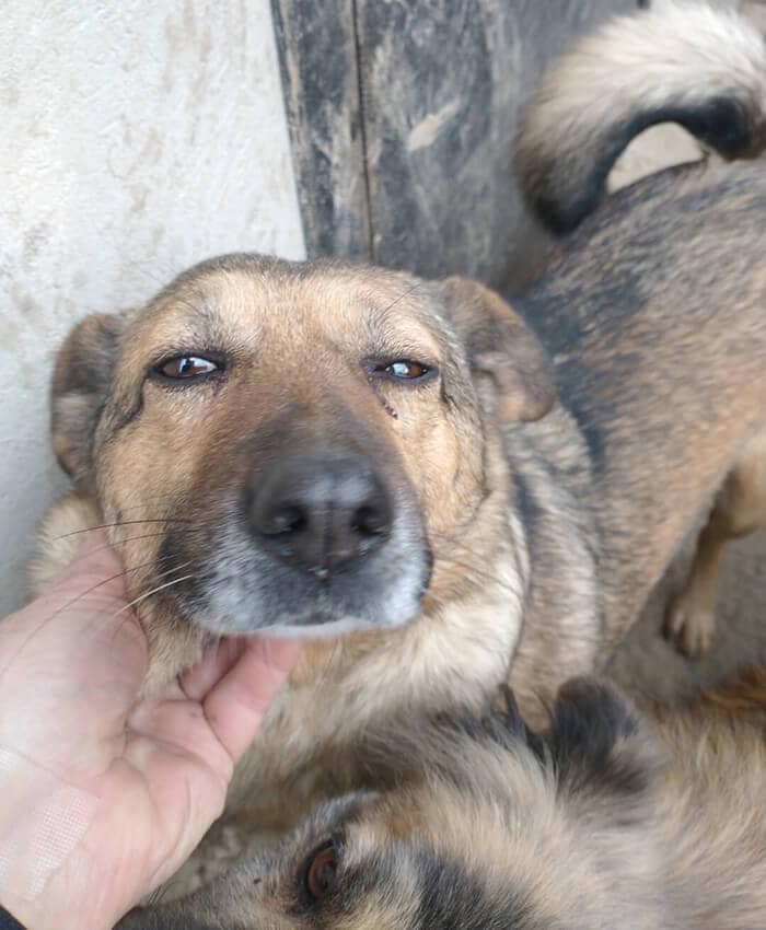 Teidah Survived Fear and Loneliness – She Needs a Sponsor