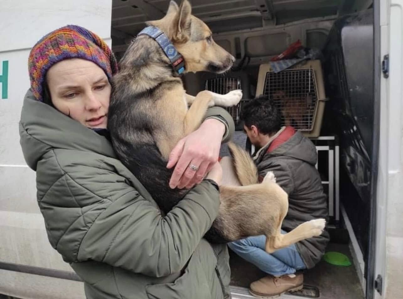 Three Years of War: Rescuing Ukraine’s Stray Dogs