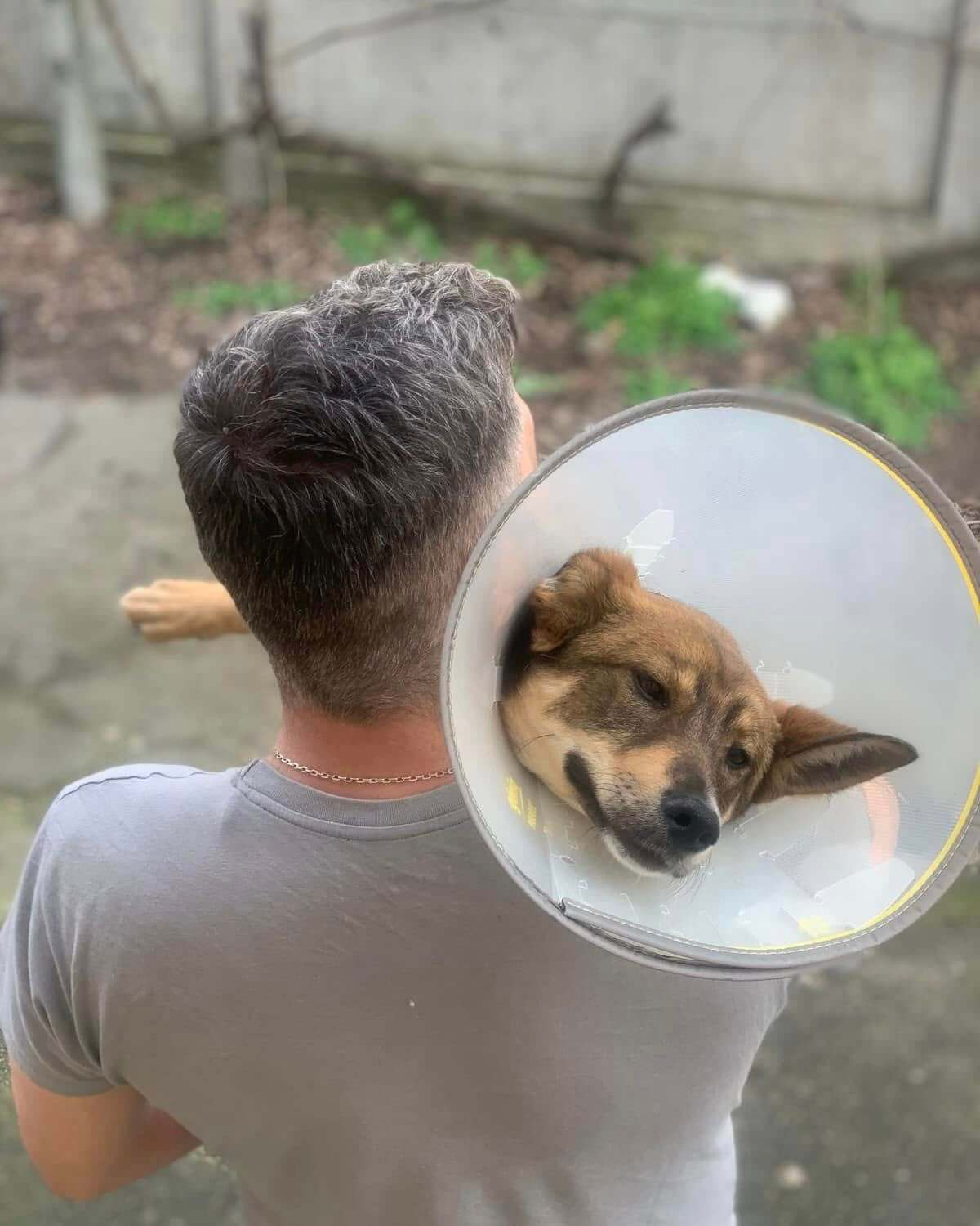 Help Transform Dog Lys’s Life After a Heart Attack