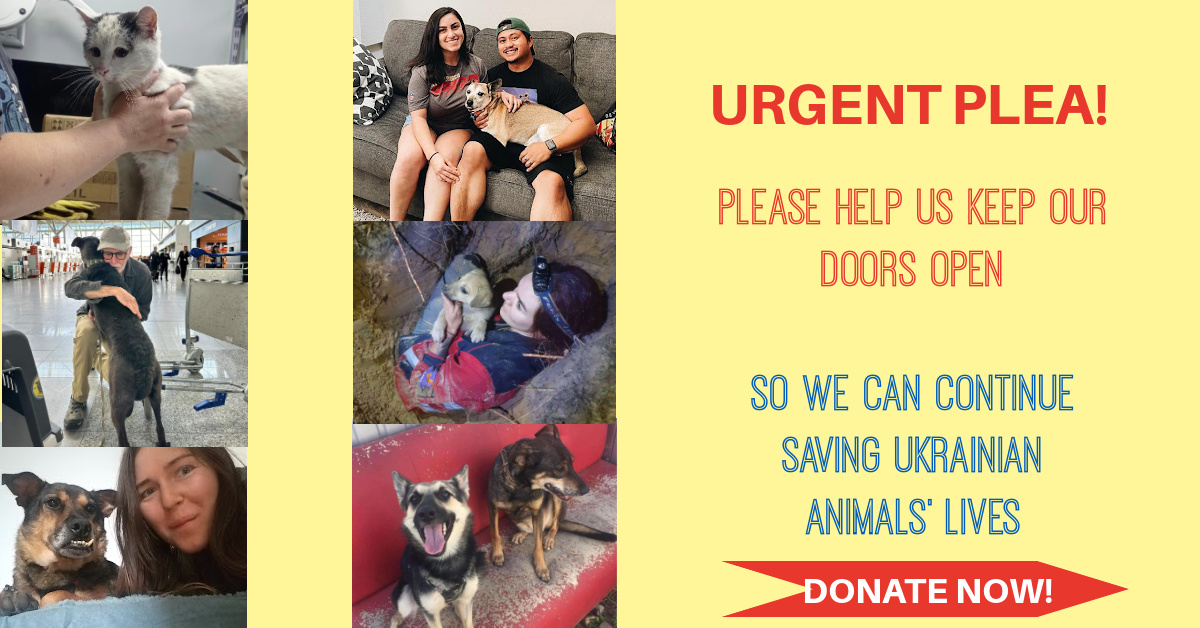 Only 2 Days Left to Save Our Shelter