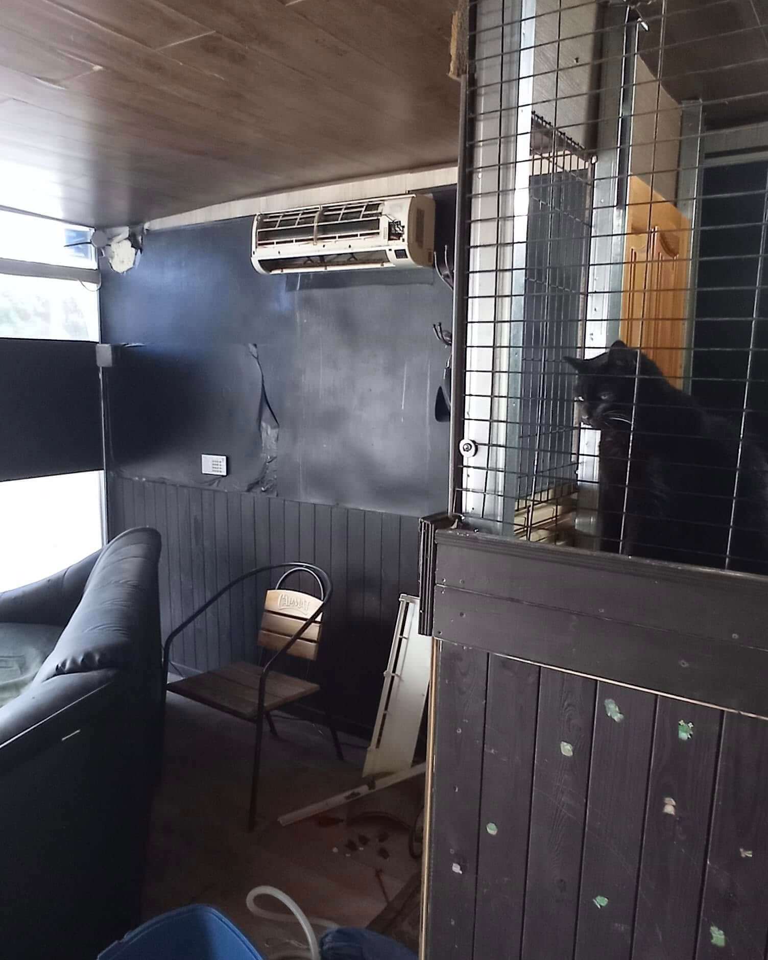 Cooling Down the Shelter: Thanks to Your Support!