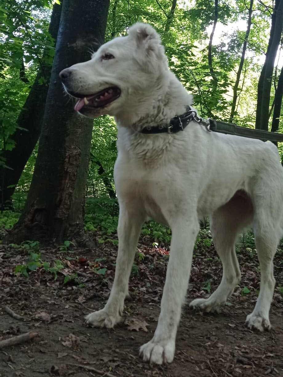 Sponsor Terra: A Wounded Soul Still Deserving of Love