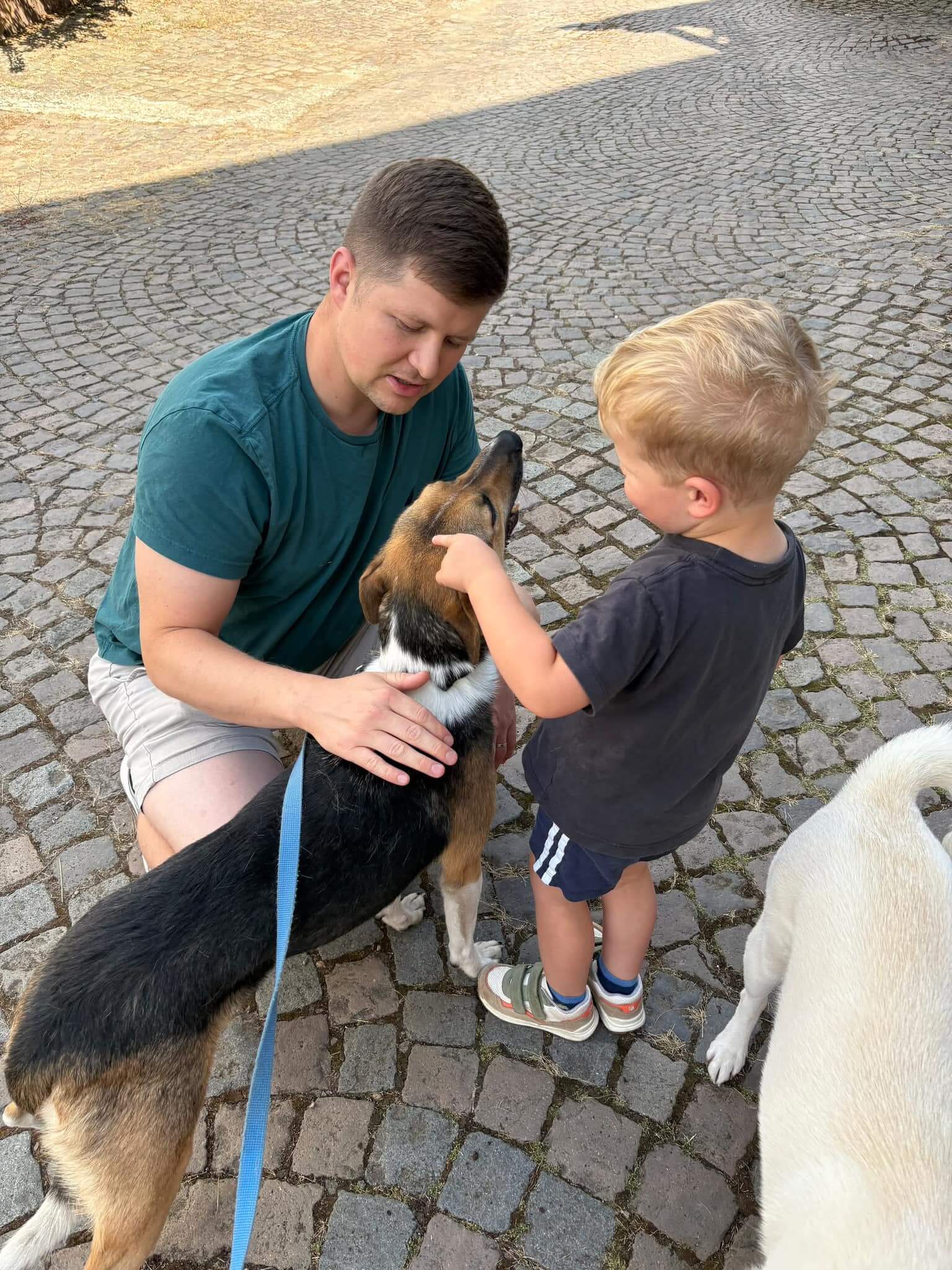 19.07.2025-new-2