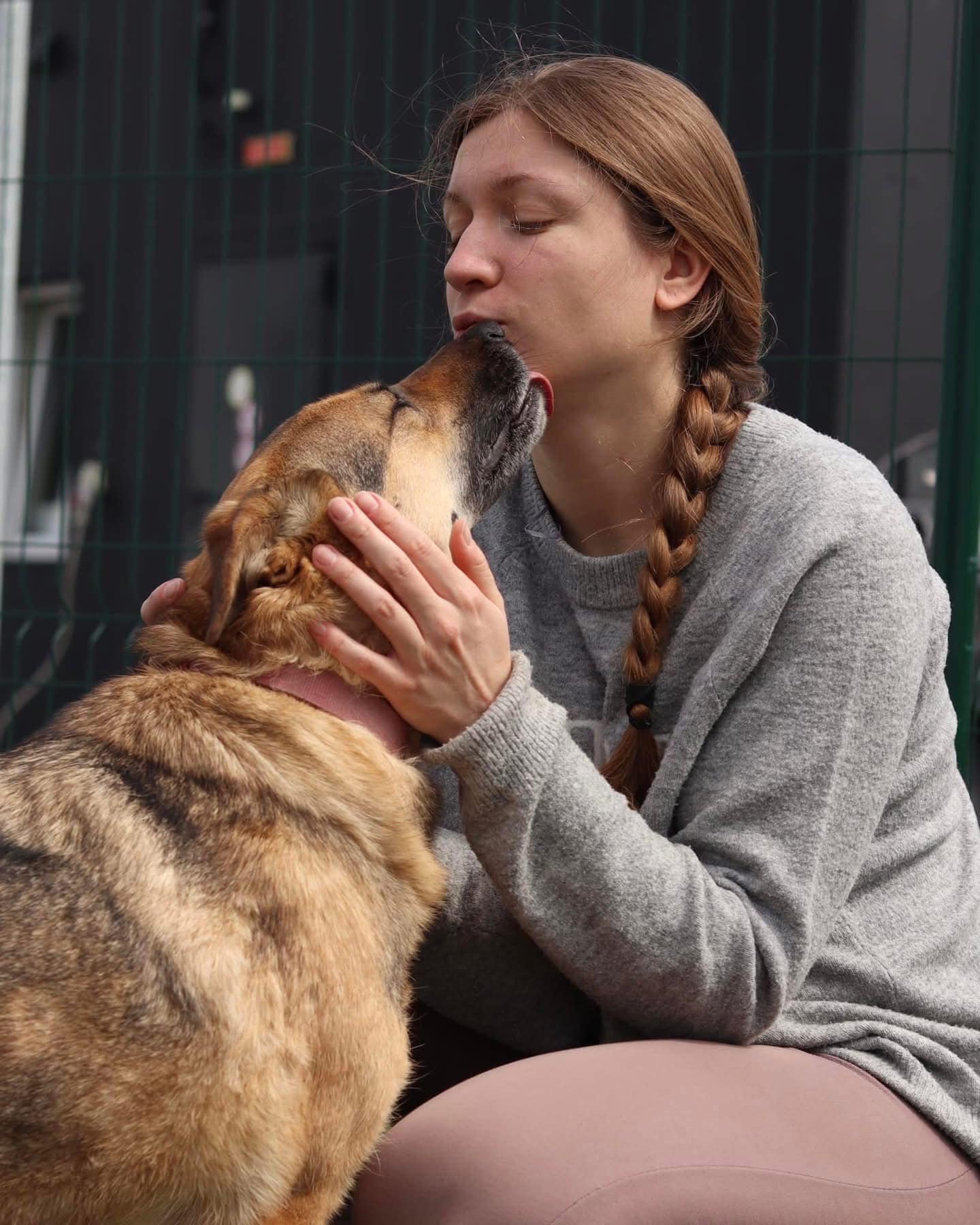 Meet Katya: A Heart Behind Rescue Dogs from Ukraine