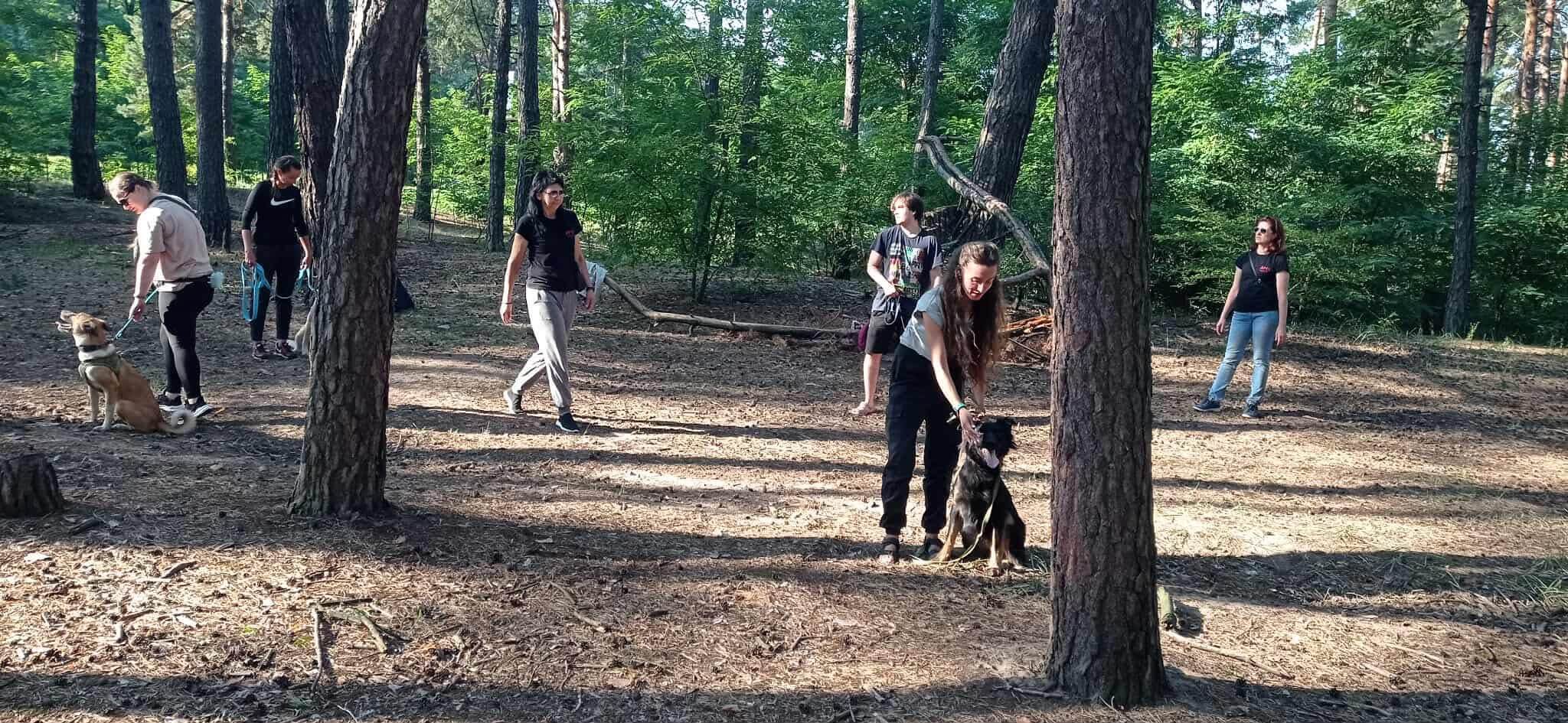 Transform Dog: Weekend Training Success Stories at Ares