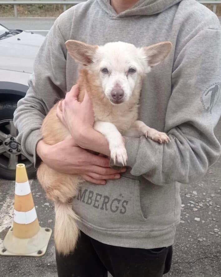 Helping Animals Like Kraken: Give Him a Safe Future