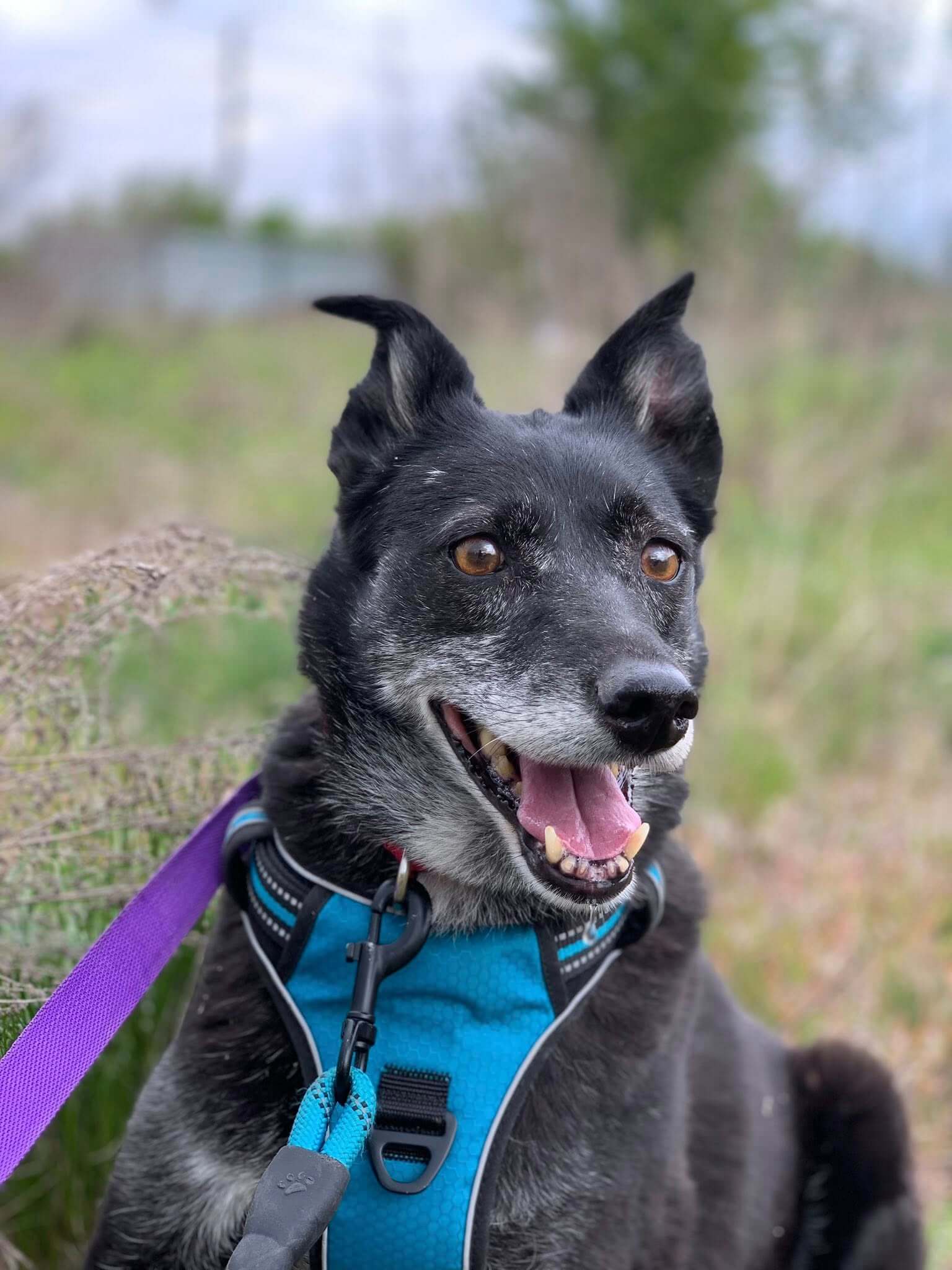 Become Rozina’s Sponsor and Give Her the Life She Deserves