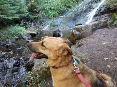 Red’s Journey: From War Injury to a Happy New Life