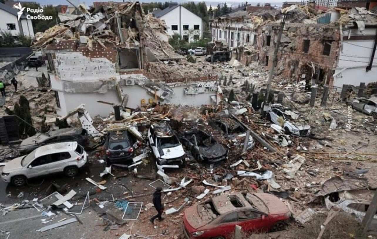 After Kyiv Attack, Help Us Protect Our Dogs