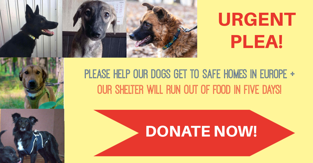 Hello supporters. We need your help!