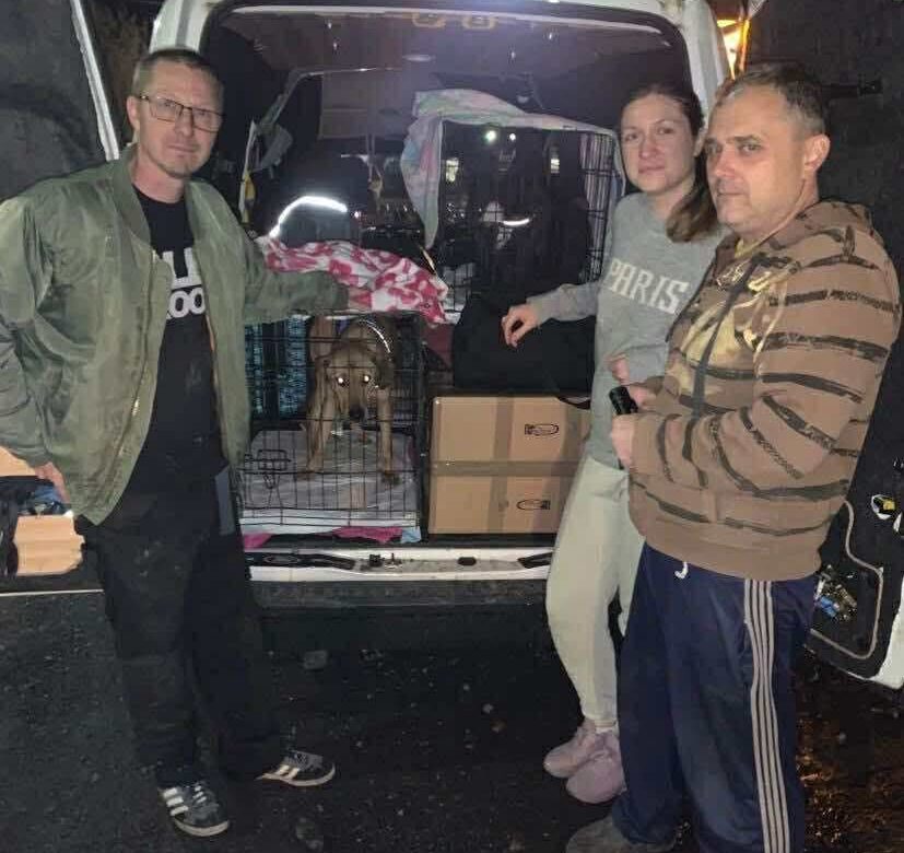 Five Ukrainian Dogs Begin Their Journey to New Homes